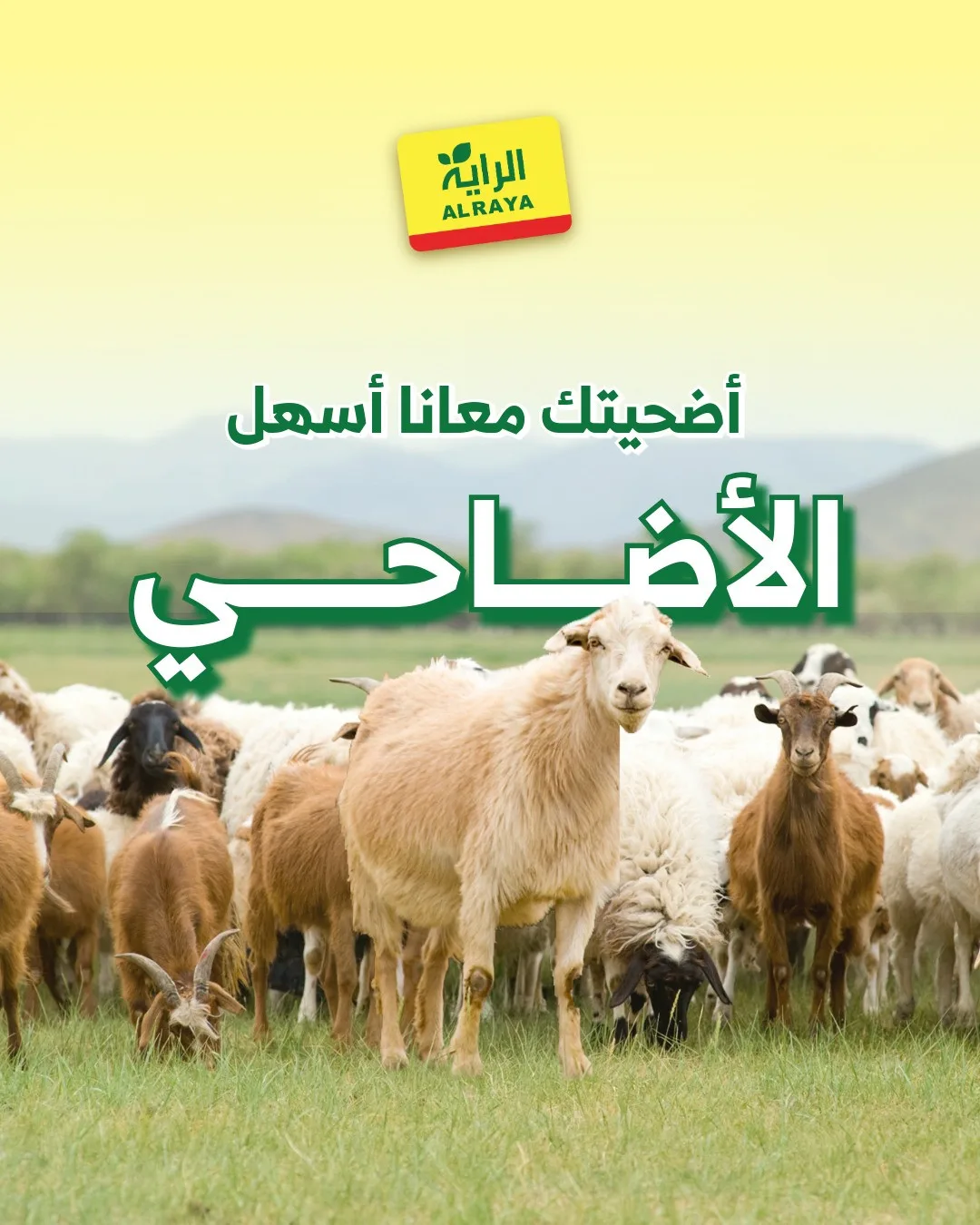 Eid Sacrifice - Jeddah & Makkah from Al Raya until 25th May - Al Raya KSA Offers & Promotions catalogue cover