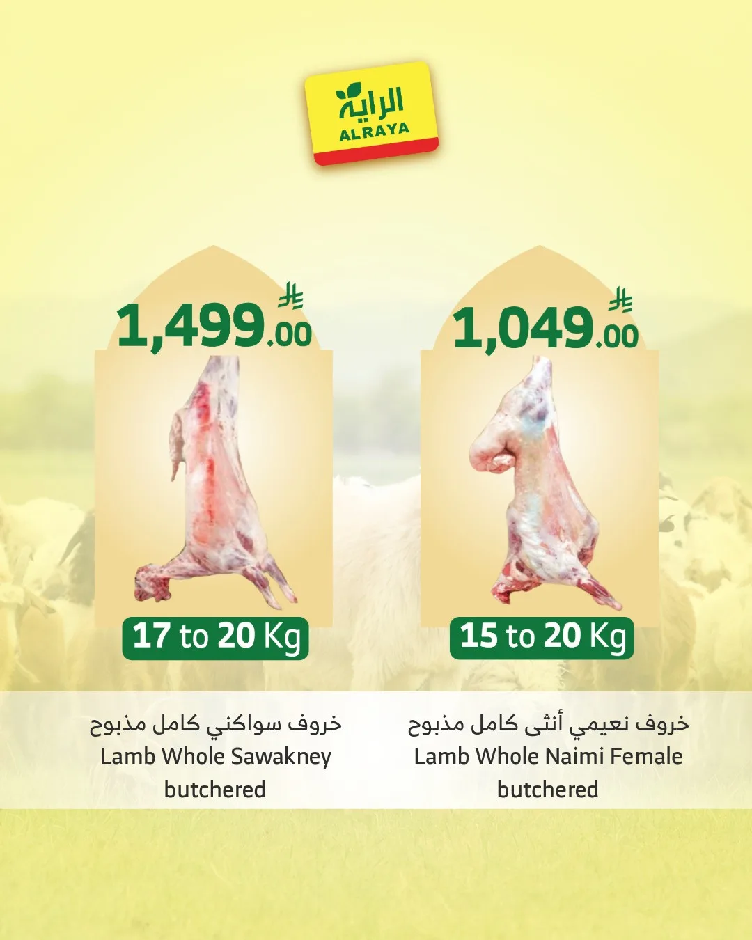 Eid Sacrifice - Jeddah & Makkah from Al Raya until 25th May - Al Raya KSA Offers & Promotions — page 3