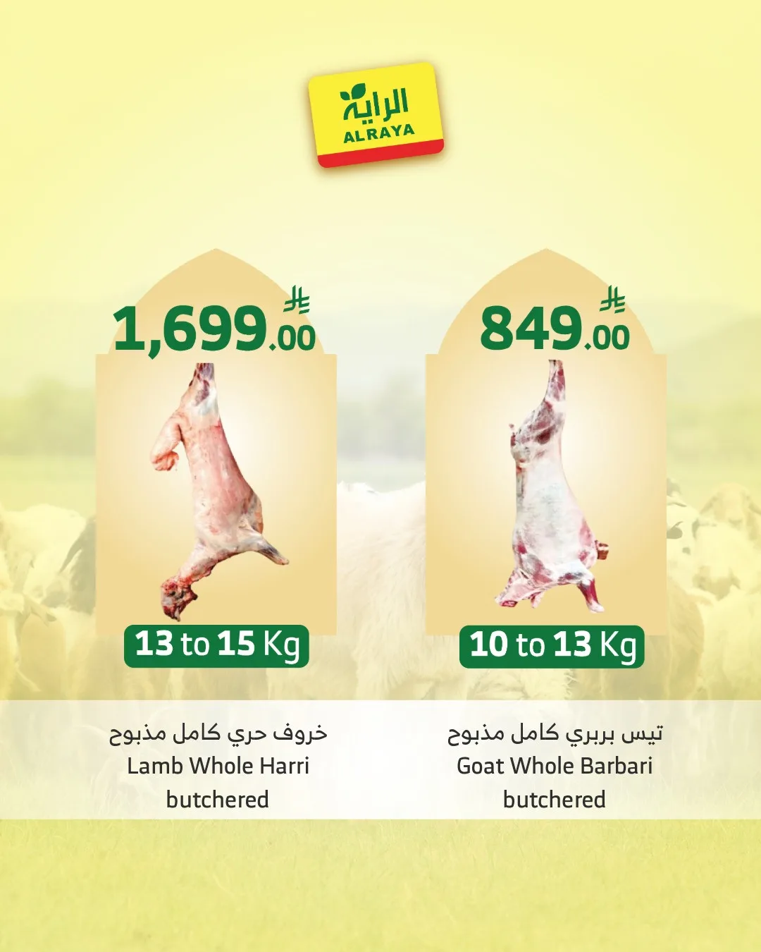 Eid Sacrifice - Jeddah & Makkah from Al Raya until 25th May - Al Raya KSA Offers & Promotions — page 4