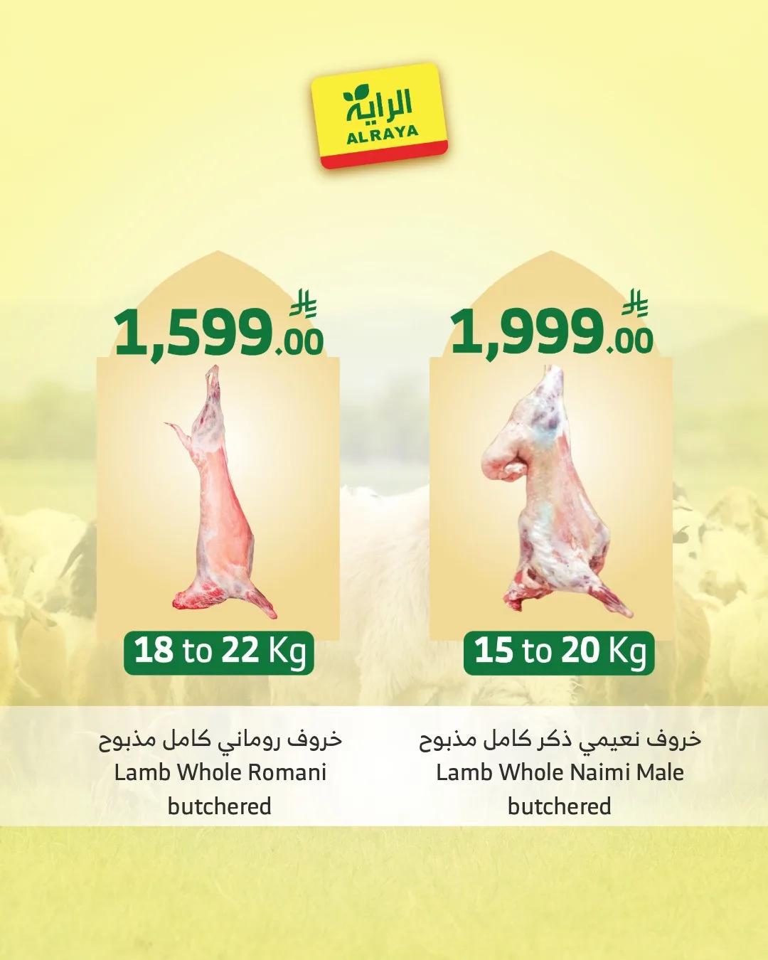 Eid Sacrifice - Jeddah & Makkah from Al Raya until 25th May - Al Raya KSA Offers & Promotions — page 5