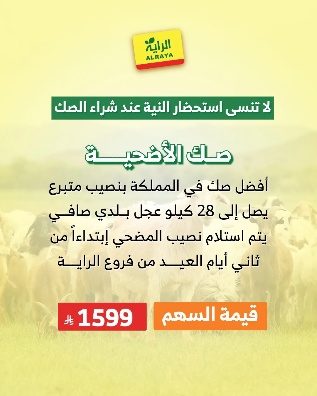 Eid Sacrifice - Jeddah & Makkah from Al Raya until 25th May - Al Raya KSA Offers & Promotions — page 7