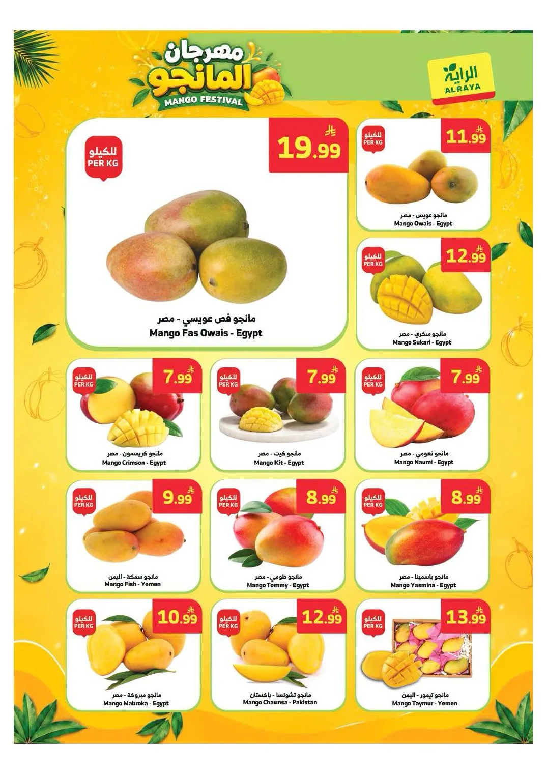 Special Discounts from Al Raya until 4th August - Al Raya KSA Offers & Promotions — page 10
