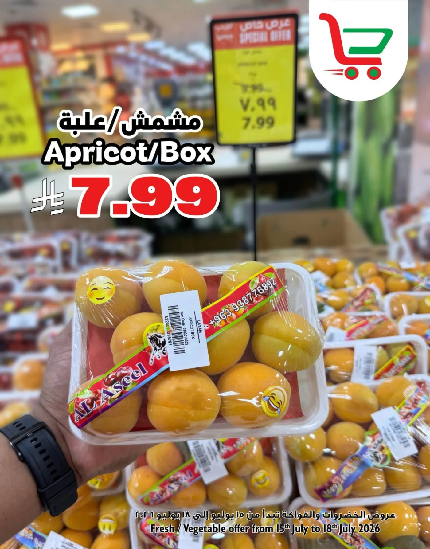 Fresh Deal from Layan Hyper until 18th July - Layan Hyper KSA Offers & Promotions — page 3
