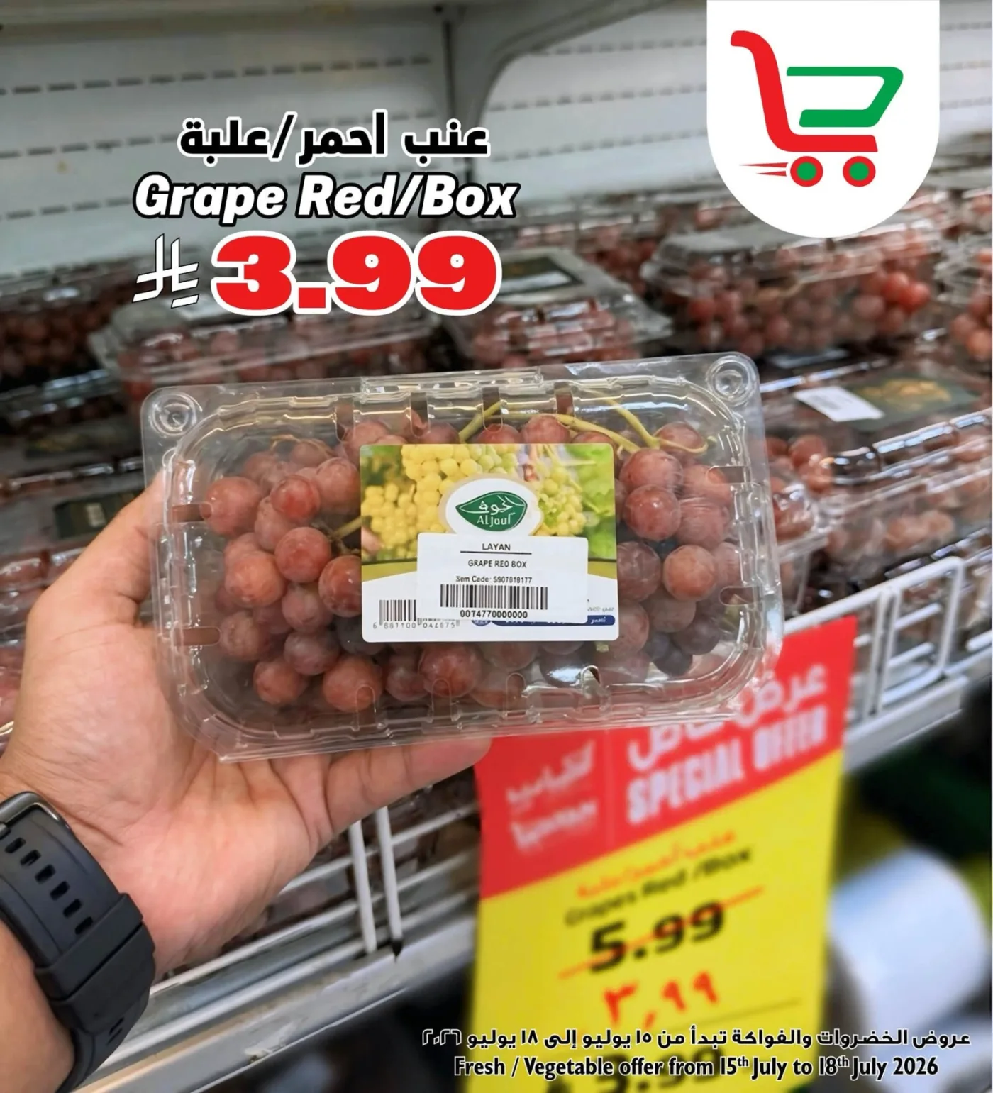 Fresh Deal from Layan Hyper until 18th July - Layan Hyper KSA Offers & Promotions — page 4